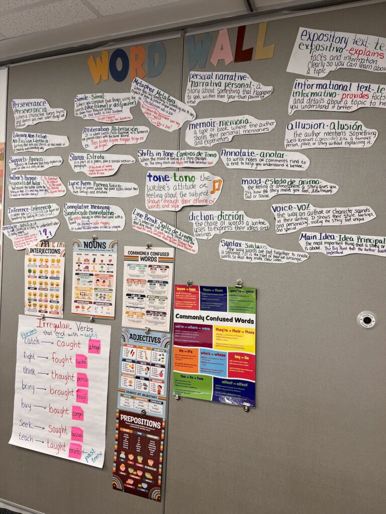 ESL classroom word wall with bilingual academic vocabulary, grammar posters, and irregular verb charts.