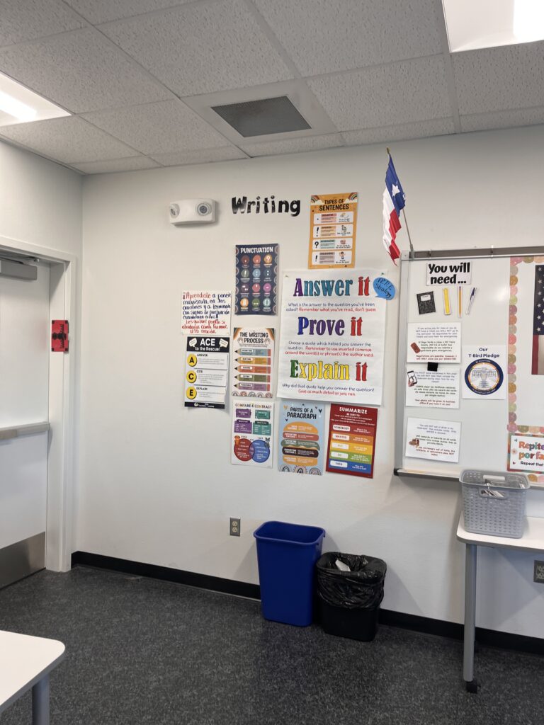 High school ESL writing wall with paragraph structure, writing process, punctuation, and sentence-type posters